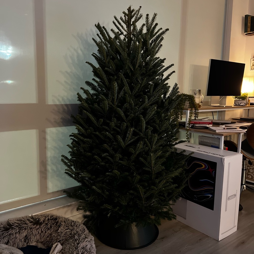Christmas shipping
